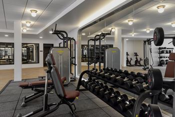A gym with a bench, weights, and mirrors.